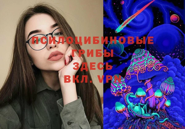 спайс Алзамай