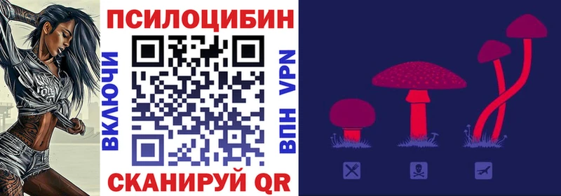 Псилоцибиновые грибы ЛСД  Амурск 