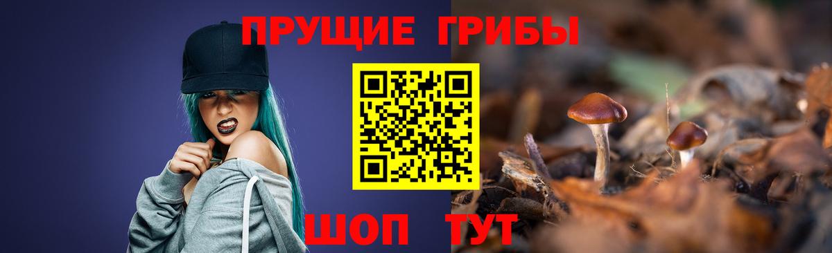 Псилоцибиновые грибы Psilocybe Амурск