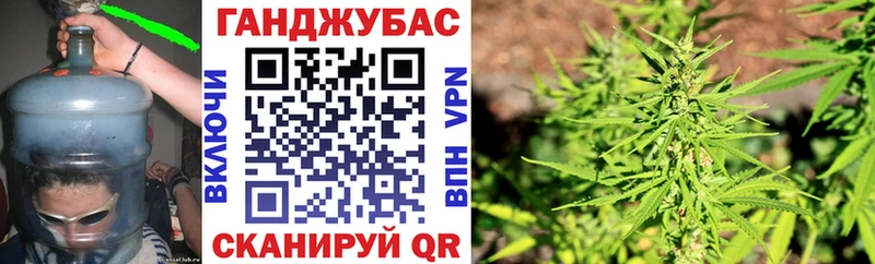 Бошки Шишки гибрид  Амурск 